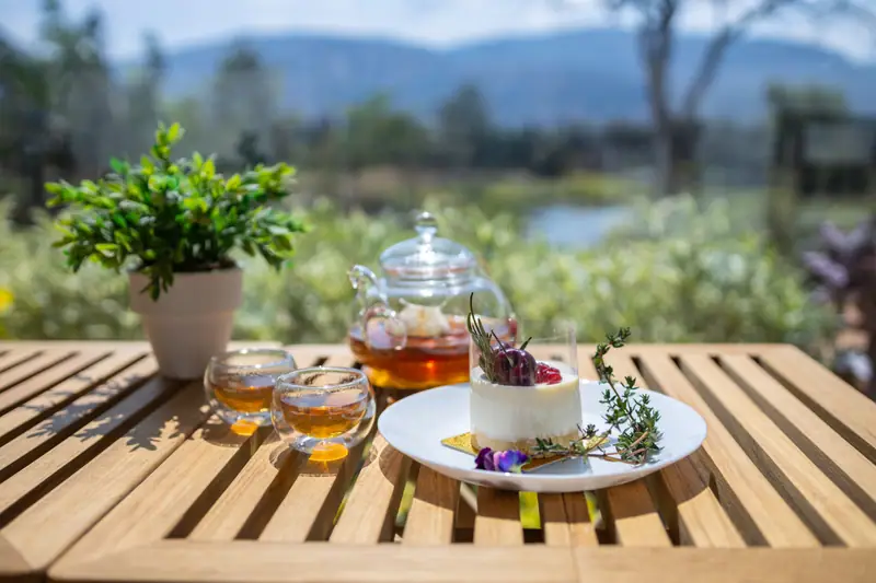 Tasse de tisane aux herbes de montagne sur une table en bois au crépuscule