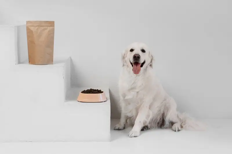 Chien adulte devant deux sacs de croquettes vétérinaires et une gamelle pesée en cuisine